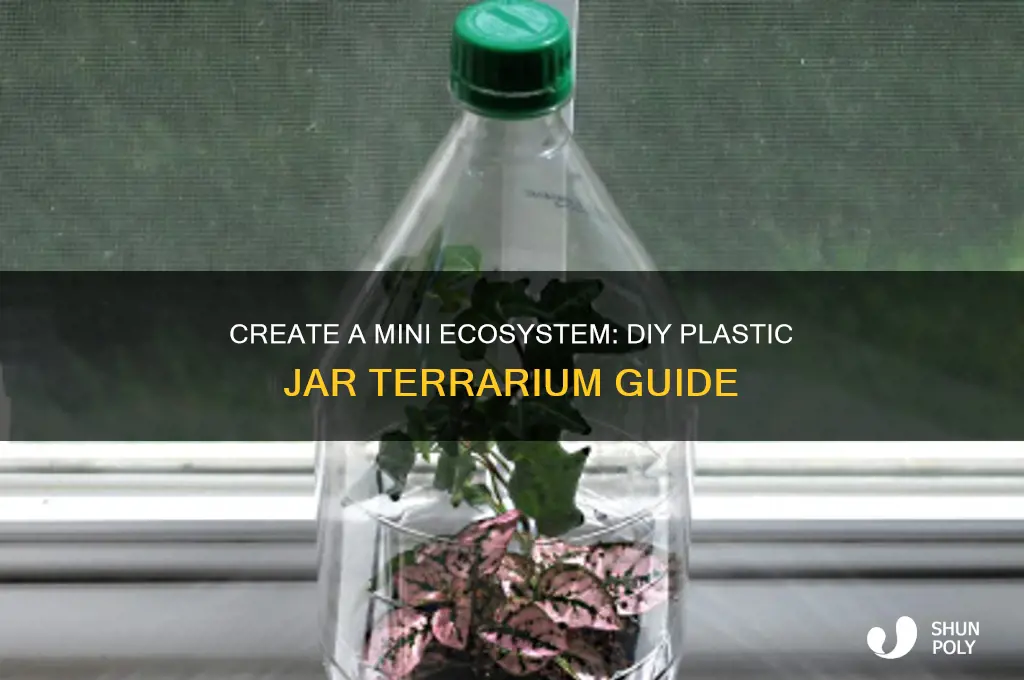 how to make a plastic jar terrarium