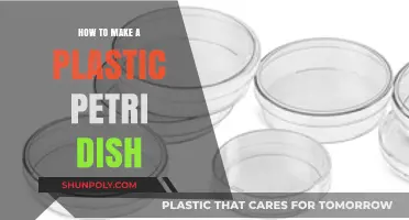 DIY Plastic Petri Dish: Simple Steps for Home Science Experiments