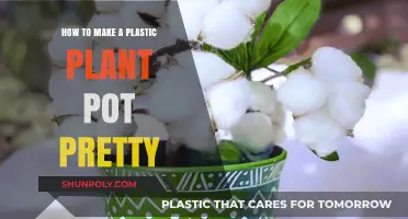 Transform Your Plastic Plant Pots: Easy DIY Decor Ideas