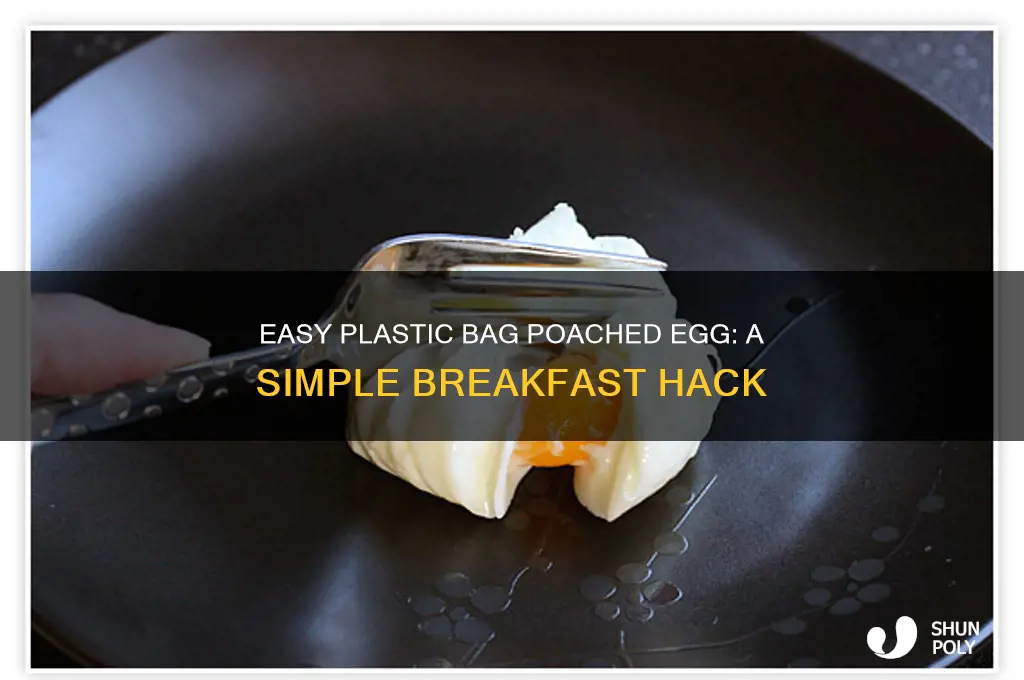 how to make a poached egg in a plastic bag