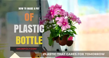 Eco-Friendly Crafting: Transforming Plastic Bottles into Functional Pots