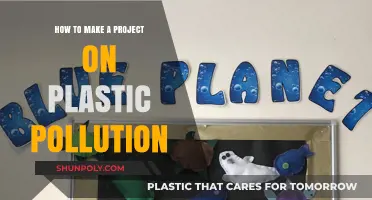 Combating Plastic Pollution: A Step-by-Step Guide to Creating Impactful Projects
