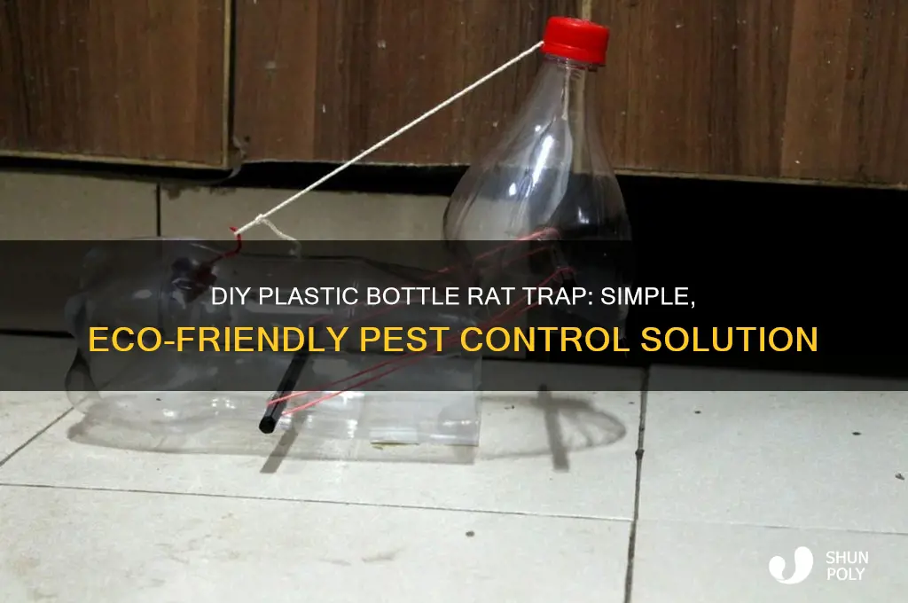how to make a rat trap with a plastic bottle