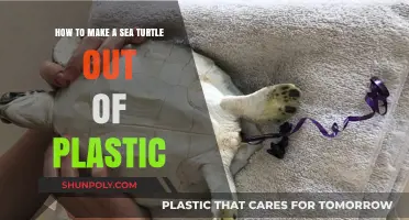 Crafting a Sea Turtle: Eco-Friendly Plastic Art Tutorial