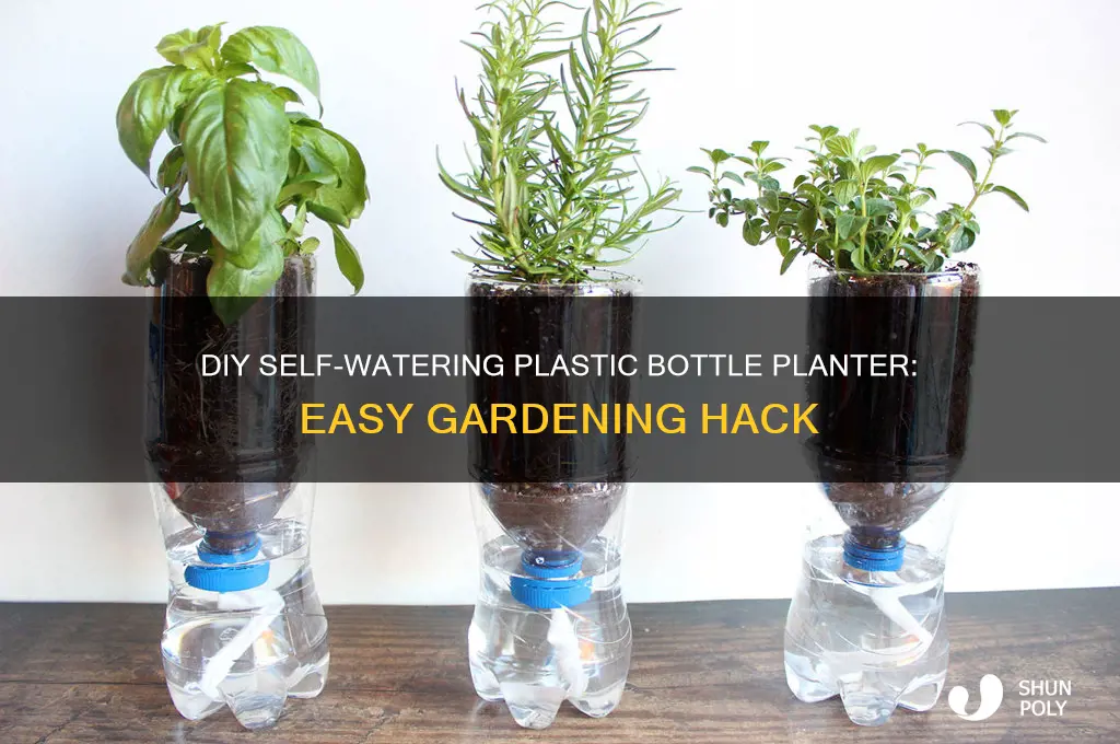 how to make a self watering plastic bottle