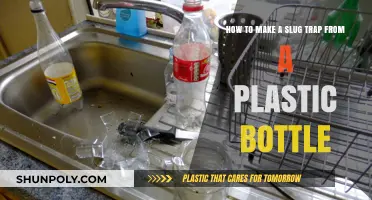 DIY Slug Trap: Easy Plastic Bottle Solution for Gardeners