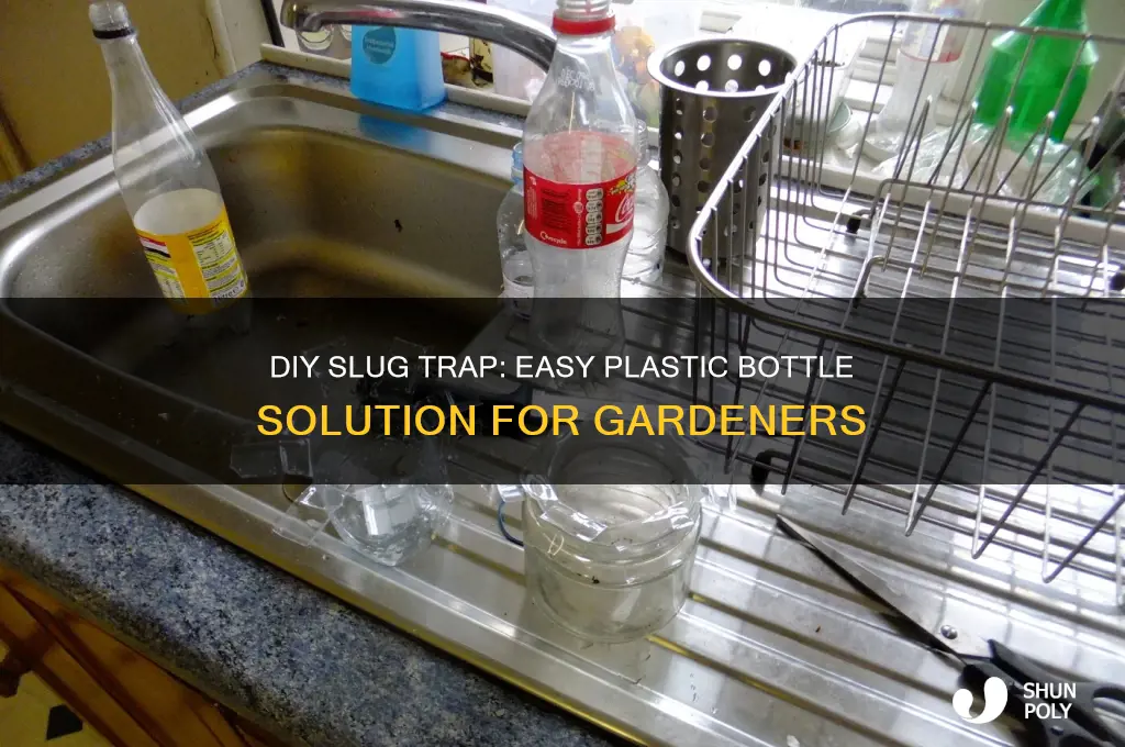 how to make a slug trap from a plastic bottle