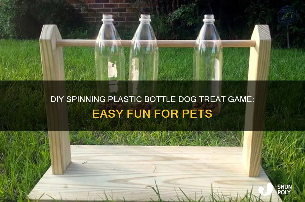 how to make a spinning plastic bottle dog treat game