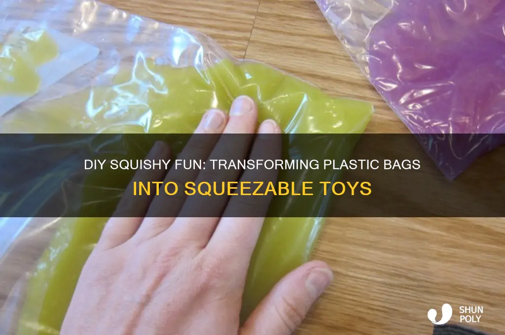 how to make a squishy out of a plastic bag