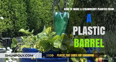DIY Strawberry Planter: Transform a Plastic Barrel into a Garden Gem