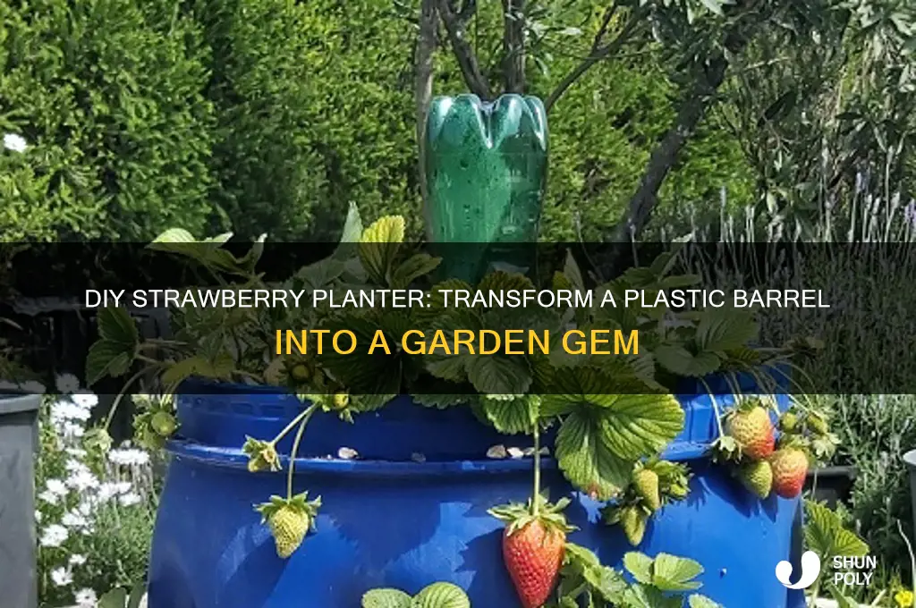 how to make a strawberry planter from a plastic barrel