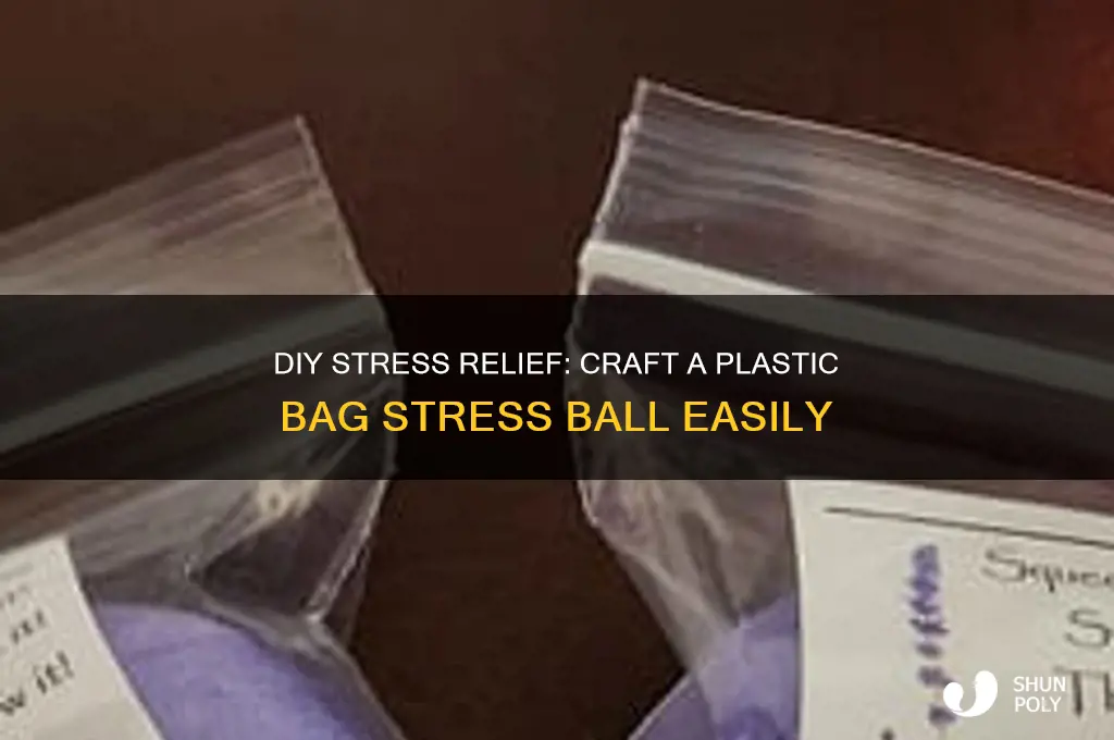 how to make a stress ball with a plastic bag