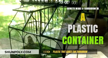 Create a Green Terrarium Paradise in a Plastic Container
