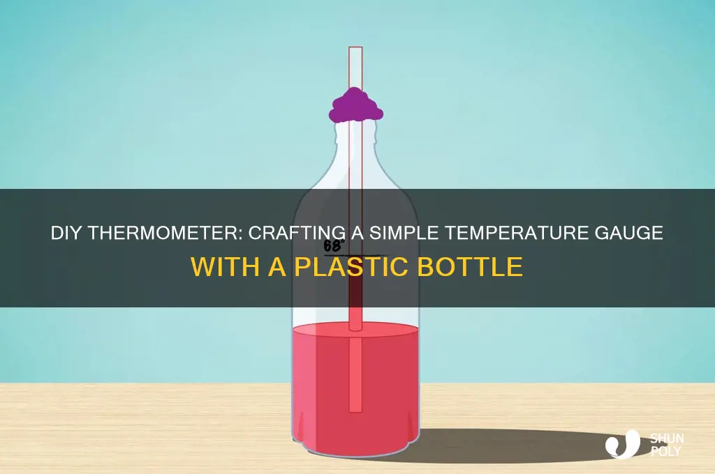 how to make a thermometer with plastic bottle