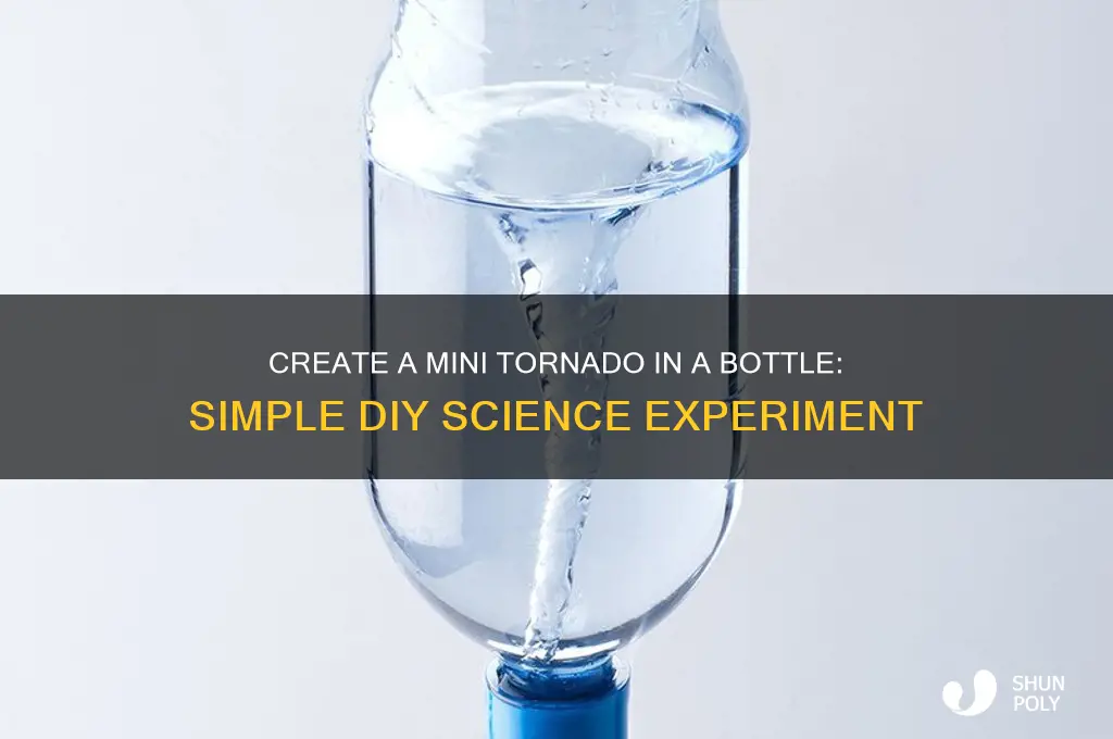 how to make a tornado in a plastic bottle