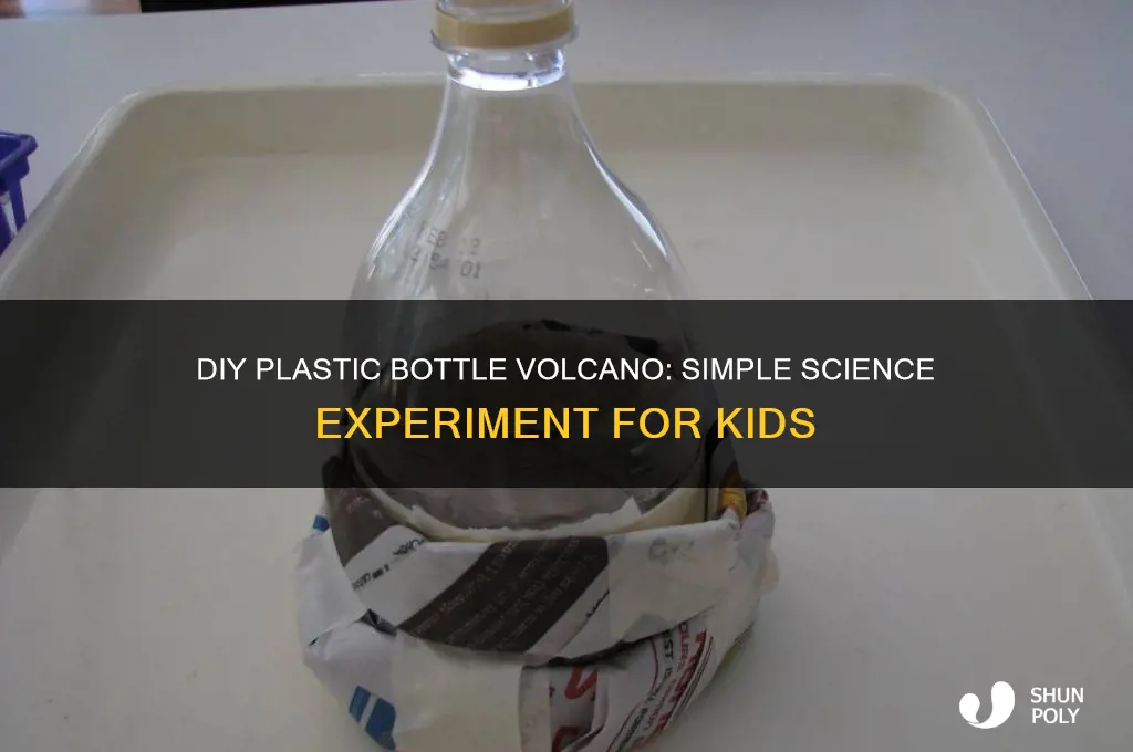 how to make a volcano in a plastic bottle