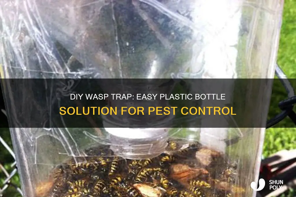 how to make a wasp trap from a plastic bottle