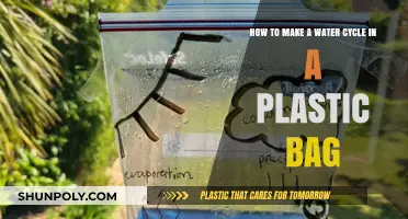 DIY Water Cycle in a Bag: Simple Science Experiment for Kids