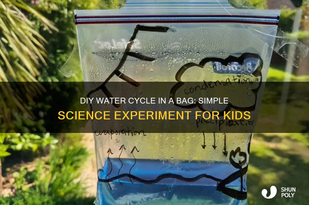 how to make a water cycle in a plastic bag