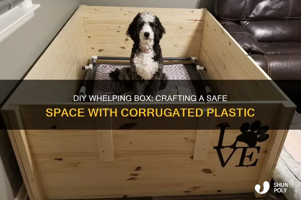 how to make a whelping box out of corrugated plastic