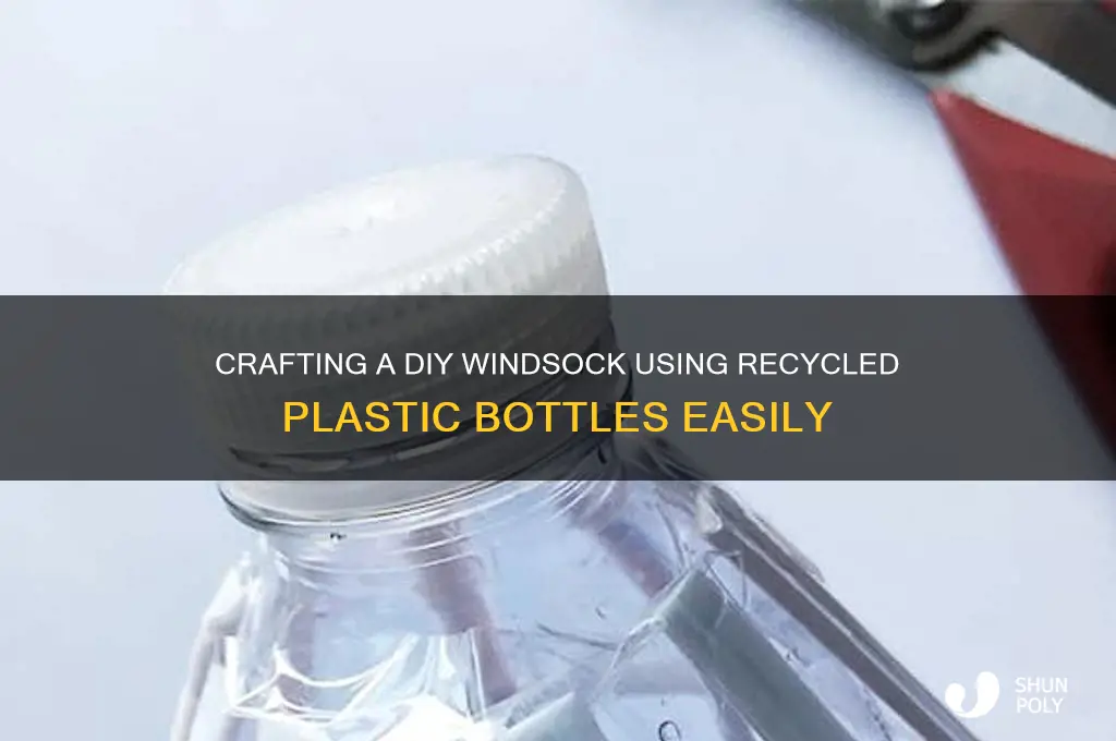 how to make a windsock from a plastic bottle