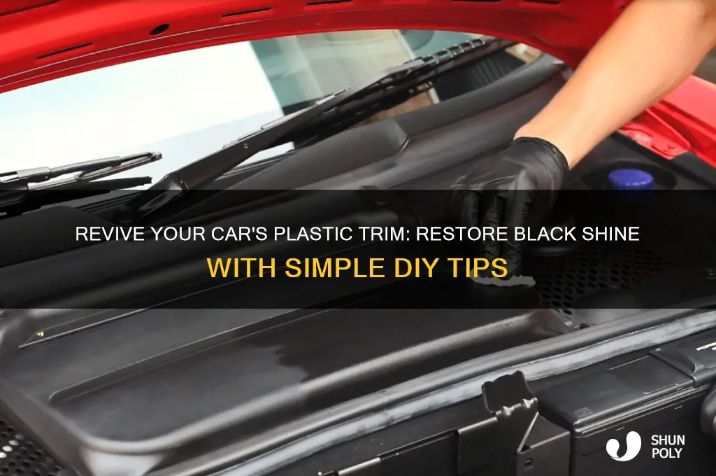 how to make aging plastic on cars black again