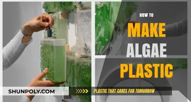 Sustainable Innovation: Crafting Eco-Friendly Algae-Based Plastic at Home