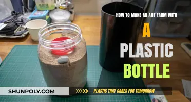 Create Your Own Ant Farm Using a Plastic Bottle