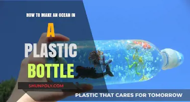 Create a Mini Ocean Ecosystem in a Plastic Bottle: DIY Guide