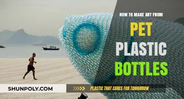 Creative Recycling: Transforming Pet Plastic Bottles into Stunning Art