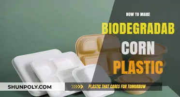 Crafting Eco-Friendly Solutions: A Guide to Making Biodegradable Corn Plastic