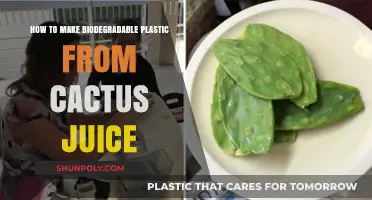 Crafting Eco-Friendly Cactus Juice Biodegradable Plastic at Home