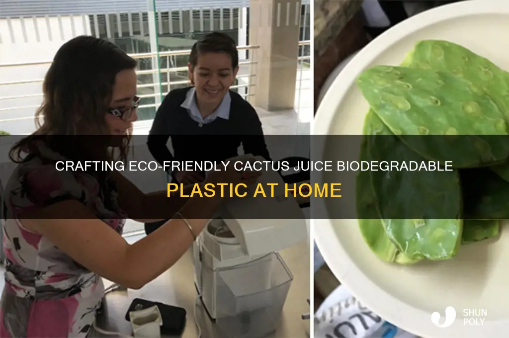 how to make biodegradable plastic from cactus juice