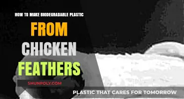 Eco-Friendly Innovation: Crafting Biodegradable Plastic from Chicken Feathers