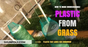 Eco-Friendly Innovation: Crafting Biodegradable Plastic from Grass Easily