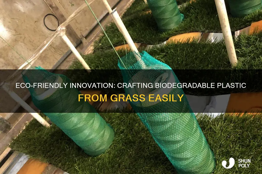 how to make biodegradable plastic from grass