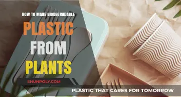 Crafting Eco-Friendly Biodegradable Plastic from Plant-Based Materials