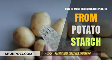 Eco-Friendly Innovation: Crafting Biodegradable Plastic Using Potato Starch