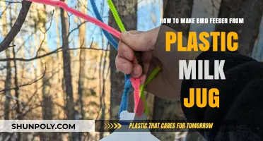 DIY Plastic Milk Jug Bird Feeder: Easy Upcycling Project