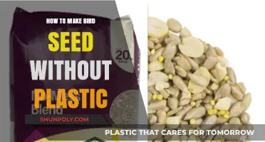 Eco-Friendly Bird Feeding: Crafting Plastic-Free Bird Seed Solutions