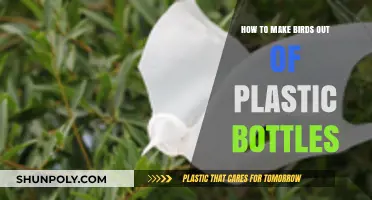 Creative Recycling: Crafting Colorful Birds from Plastic Bottles