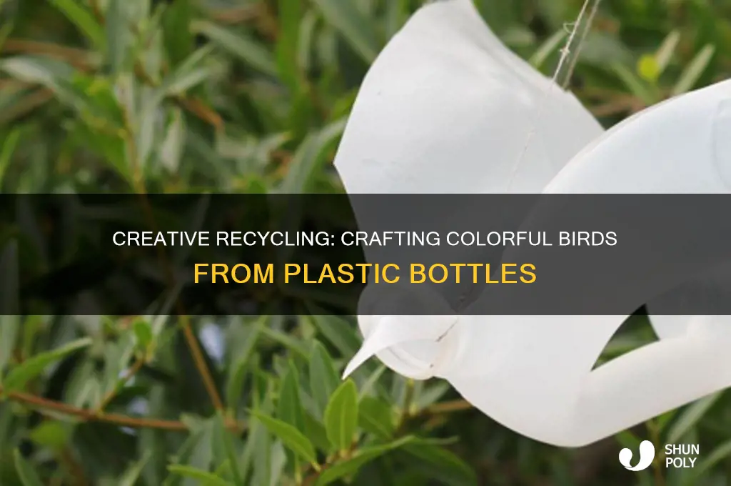 how to make birds out of plastic bottles
