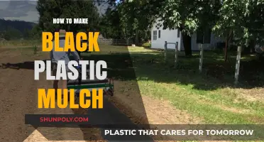 DIY Black Plastic Mulch: Easy Steps for Garden Success