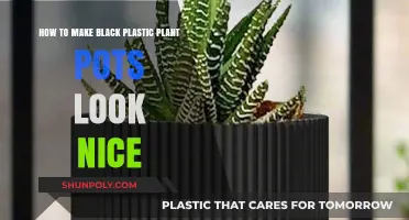 Transforming Black Plastic Plant Pots: Creative Ideas for a Stylish Garden
