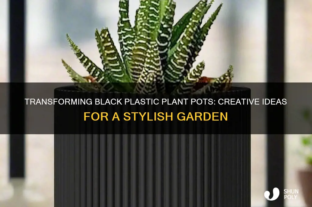 how to make black plastic plant pots look nice