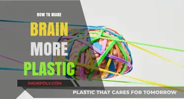 Unlocking Brain Plasticity: Proven Strategies for Enhanced Cognitive Flexibility