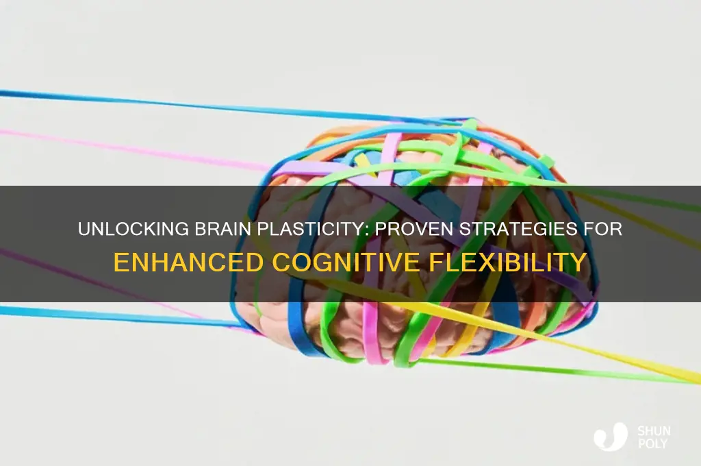 how to make brain more plastic
