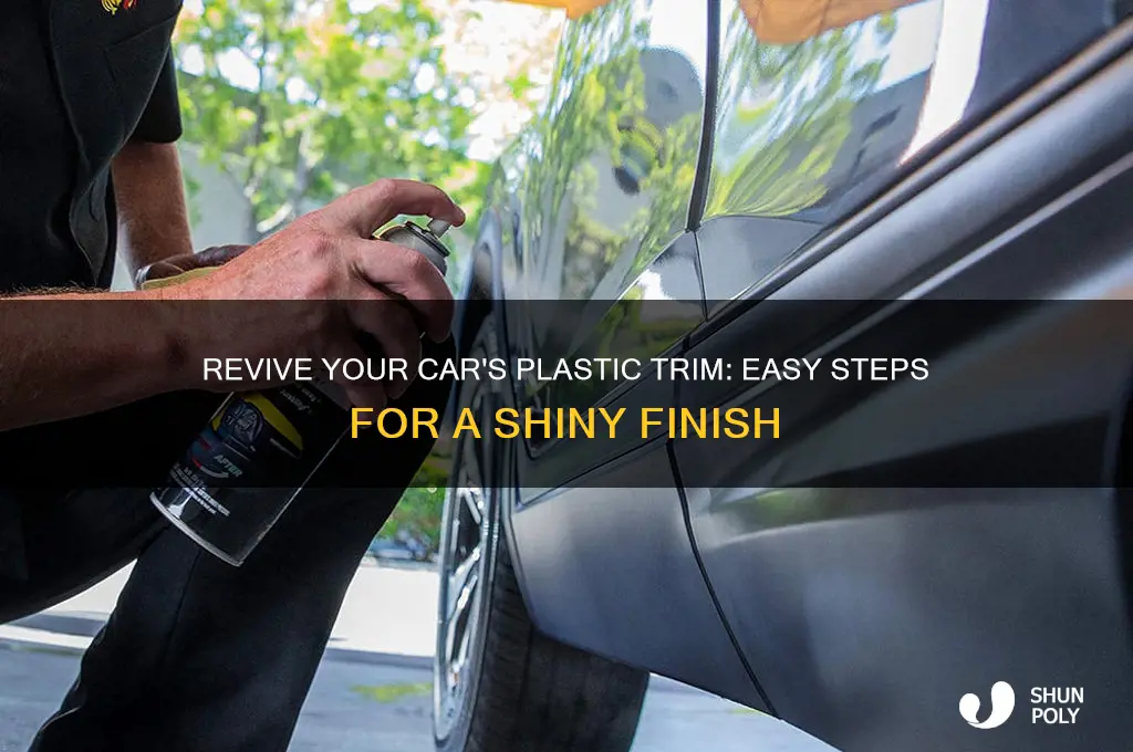 how to make car plastic shiny