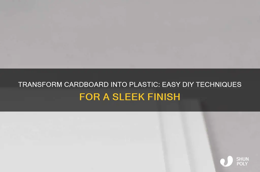 how to make cardboard look like plastic