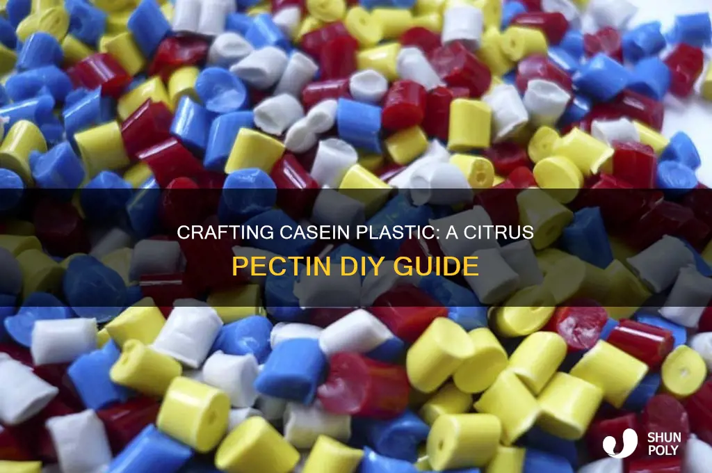 how to make casein plastic from citrus pectin